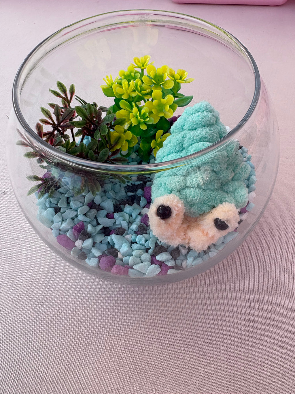 Hermit crab aquarium